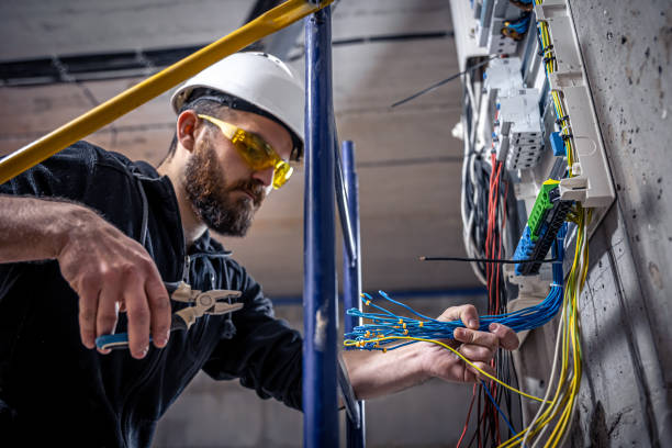 Best Electric Panel Repair  in Naples Manor, FL