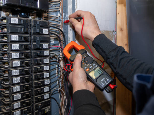 Best Licensed Electrician  in Naples Manor, FL