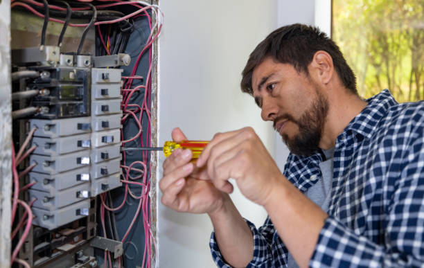 Best Electric Panel Repair  in Naples Manor, FL